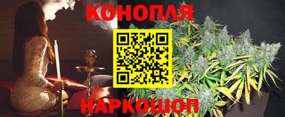 Альфа ПВП Чебоксары