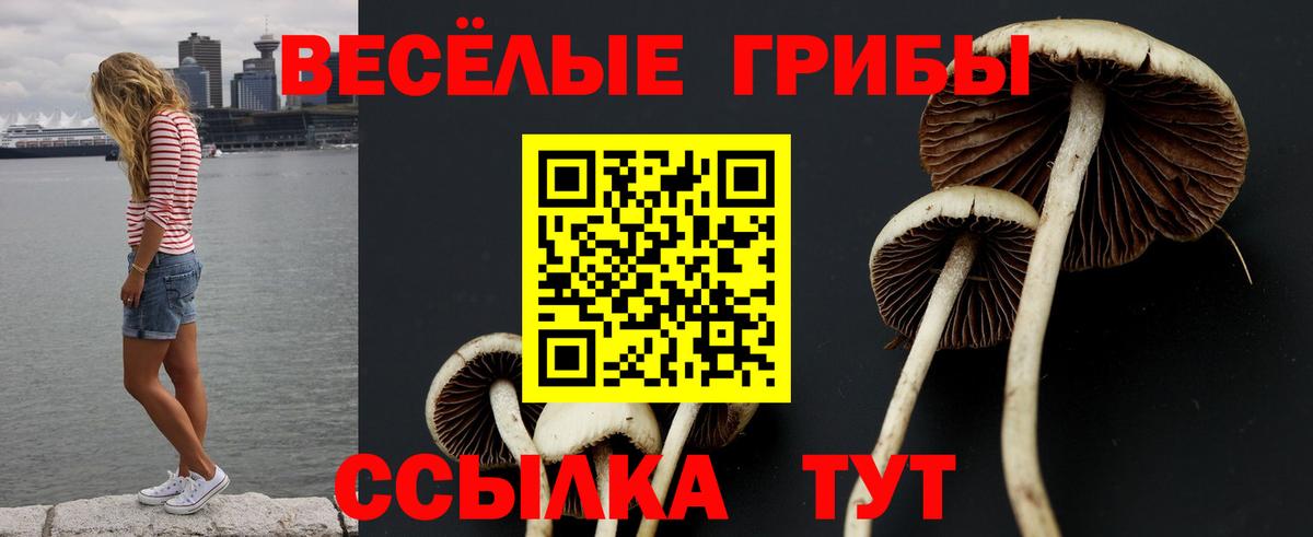 Анапа  Псилоцибиновые грибы Cubensis  Вход с VPN 